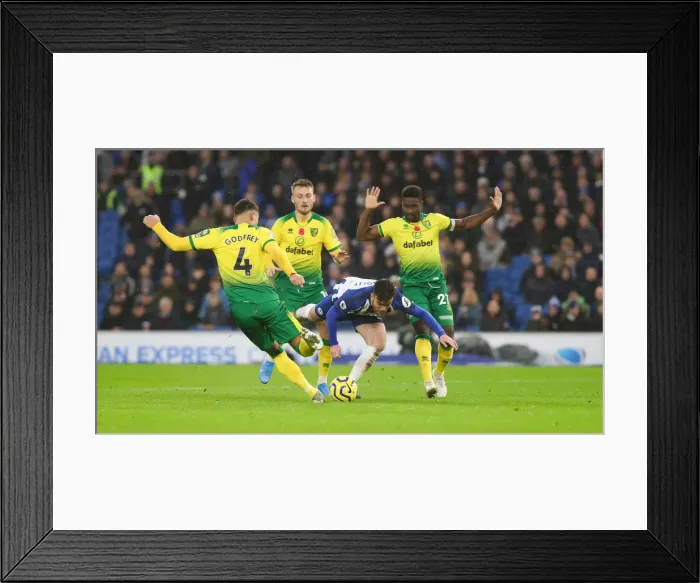 Framed Print : Brighton and Hove Albion vs. Norwich City: Premier League Showdown at American Express Community Stadium (November 2, 2019) Framed Print : Brighton and Hove Albion vs. Norwich City: Premier League Showdown at American Express Community Stadium (November 2, 2019)