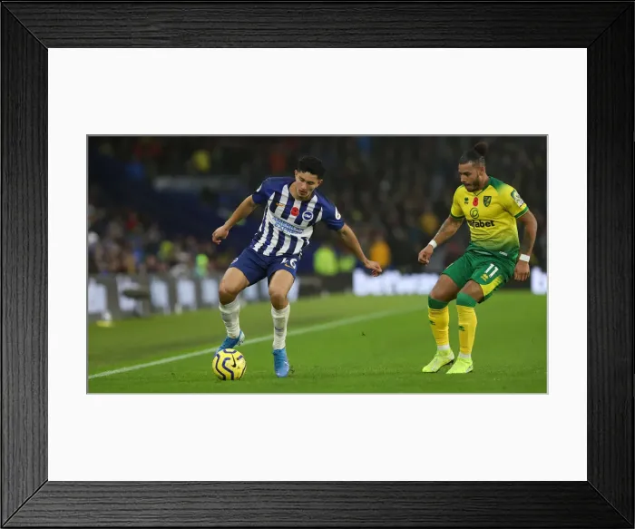 Framed Print : Brighton and Hove Albion vs. Norwich City: Premier League Showdown at American Express Community Stadium (November 2, 2019) Framed Print : Brighton and Hove Albion vs. Norwich City: Premier League Showdown at American Express Community Stadium (November 2, 2019)
