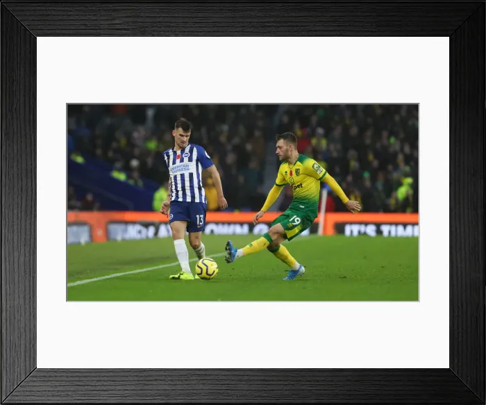 Framed Print : Brighton and Hove Albion vs. Norwich City: Premier League Showdown at American Express Community Stadium (November 2, 2019) Framed Print : Brighton and Hove Albion vs. Norwich City: Premier League Showdown at American Express Community Stadium (November 2, 2019)