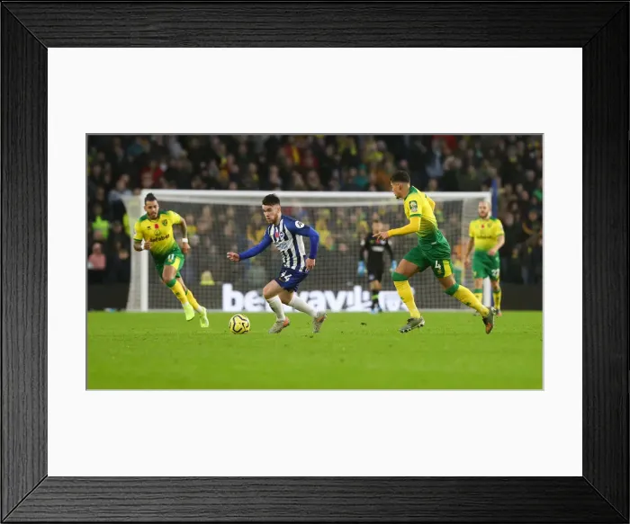 Framed Print : Brighton and Hove Albion vs. Norwich City: Premier League Showdown at American Express Community Stadium (November 2, 2019) Framed Print : Brighton and Hove Albion vs. Norwich City: Premier League Showdown at American Express Community Stadium (November 2, 2019)