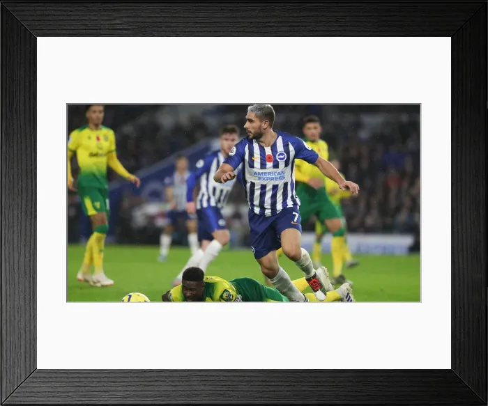 Framed Print : Brighton and Hove Albion vs. Norwich City: Premier League Showdown at American Express Community Stadium (November 2, 2019) Framed Print : Brighton and Hove Albion vs. Norwich City: Premier League Showdown at American Express Community Stadium (November 2, 2019)