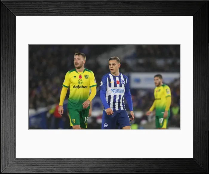 Framed Print : Brighton and Hove Albion vs. Norwich City: Premier League Showdown at American Express Community Stadium (November 2, 2019) Framed Print : Brighton and Hove Albion vs. Norwich City: Premier League Showdown at American Express Community Stadium (November 2, 2019)