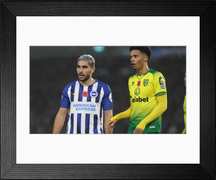 Framed Print : Brighton and Hove Albion vs. Norwich City: Premier League Showdown at American Express Community Stadium (November 2, 2019) Framed Print : Brighton and Hove Albion vs. Norwich City: Premier League Showdown at American Express Community Stadium (November 2, 2019)