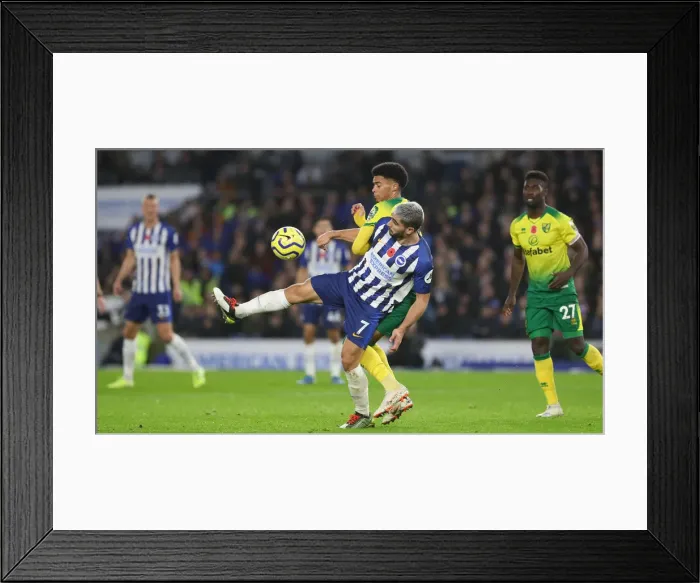 Framed Print : Brighton and Hove Albion vs. Norwich City: Premier League Showdown at American Express Community Stadium (November 2, 2019) Framed Print : Brighton and Hove Albion vs. Norwich City: Premier League Showdown at American Express Community Stadium (November 2, 2019)