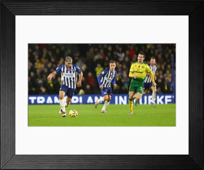 Framed Print : Brighton and Hove Albion vs. Norwich City: Premier League Showdown at American Express Community Stadium (November 2, 2019) Framed Print : Brighton and Hove Albion vs. Norwich City: Premier League Showdown at American Express Community Stadium (November 2, 2019)