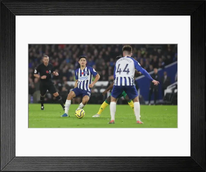 Framed Print : Brighton and Hove Albion vs. Norwich City: Premier League Showdown at American Express Community Stadium (November 2, 2019) Framed Print : Brighton and Hove Albion vs. Norwich City: Premier League Showdown at American Express Community Stadium (November 2, 2019)