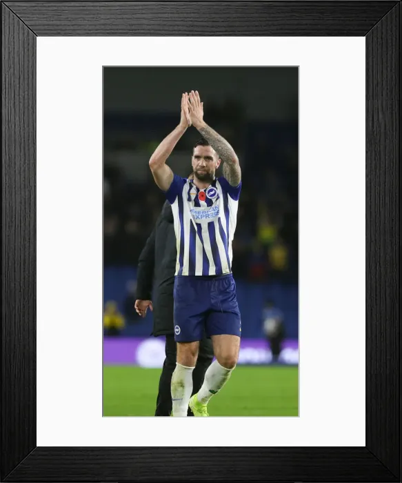 Framed Print : Brighton and Hove Albion vs. Norwich City: Premier League Showdown at American Express Community Stadium (November 2, 2019) Framed Print : Brighton and Hove Albion vs. Norwich City: Premier League Showdown at American Express Community Stadium (November 2, 2019)