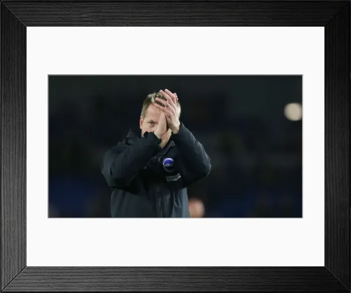Framed Print : Brighton and Hove Albion vs. Norwich City: Premier League Showdown at American Express Community Stadium (November 2, 2019) Framed Print : Brighton and Hove Albion vs. Norwich City: Premier League Showdown at American Express Community Stadium (November 2, 2019)