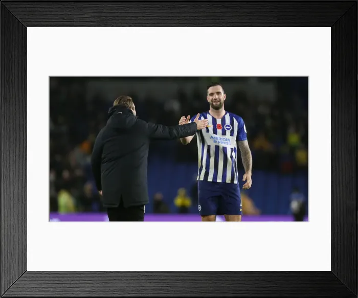 Framed Print : Brighton and Hove Albion vs. Norwich City: Premier League Showdown at American Express Community Stadium (November 2, 2019) Framed Print : Brighton and Hove Albion vs. Norwich City: Premier League Showdown at American Express Community Stadium (November 2, 2019)