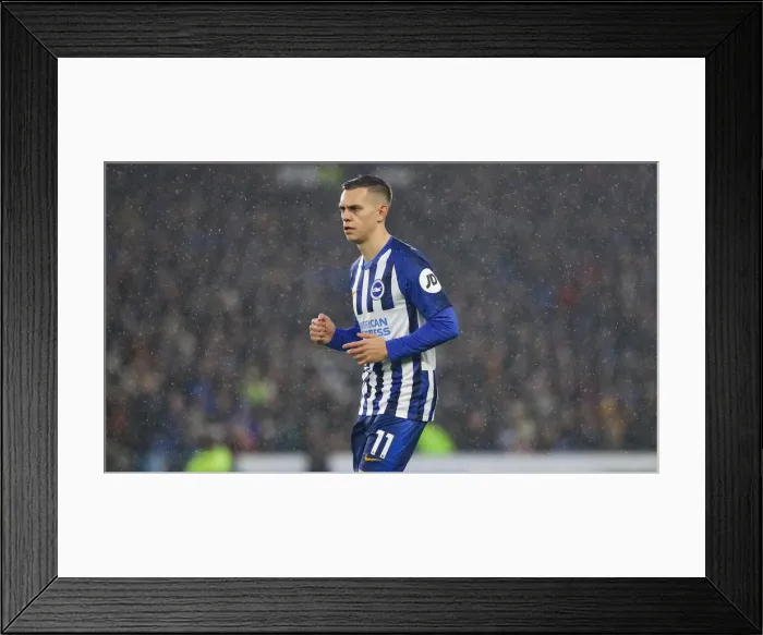 Framed Print : Brighton and Hove Albion vs. Leicester City: Premier League Showdown at American Express Community Stadium (November 23, 2019) Framed Print : Brighton and Hove Albion vs. Leicester City: Premier League Showdown at American Express Community Stadium (November 23, 2019)