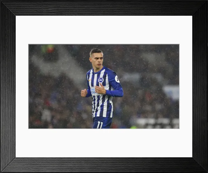Framed Print : Brighton and Hove Albion vs. Leicester City: Premier League Showdown at American Express Community Stadium (Nov 2019)