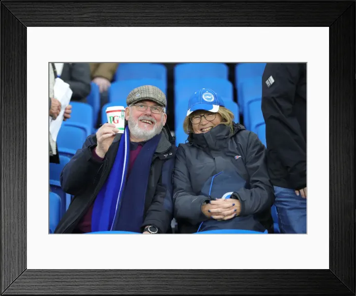 Framed Print : Brighton and Hove Albion vs. Leicester City: Premier League Showdown at American Express Community Stadium (November 23, 2019) Framed Print : Brighton and Hove Albion vs. Leicester City: Premier League Showdown at American Express Community Stadium (November 23, 2019)