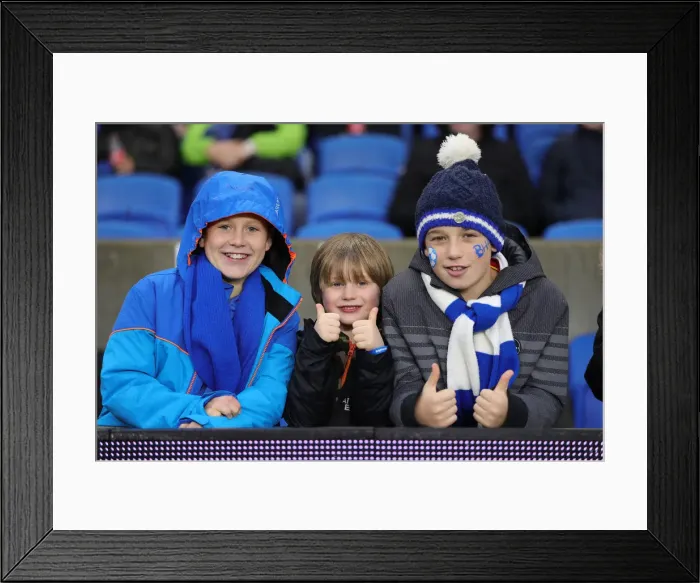 Framed Print : Brighton and Hove Albion vs. Leicester City: Premier League Showdown at American Express Community Stadium (November 2019) Framed Print : Brighton and Hove Albion vs. Leicester City: Premier League Showdown at American Express Community Stadium (November 2019)