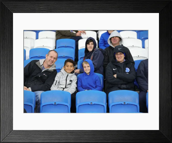 Framed Print : Brighton & Hove Albion vs Leicester City: Premier League Showdown at American Express Community Stadium (Nov 2019) Framed Print : Brighton & Hove Albion vs Leicester City: Premier League Showdown at American Express Community Stadium (Nov 2019)