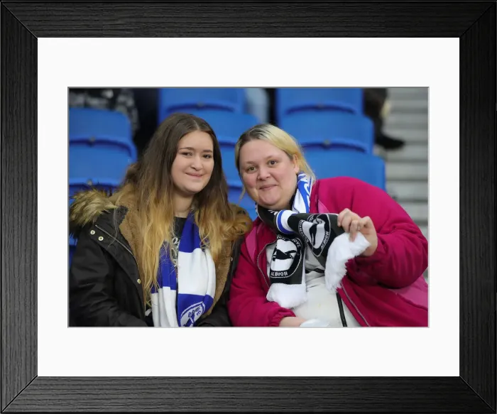 Framed Print : Brighton and Hove Albion vs Leicester City: Premier League Showdown at American Express Community Stadium (Nov 2019) Framed Print : Brighton and Hove Albion vs Leicester City: Premier League Showdown at American Express Community Stadium (Nov 2019)