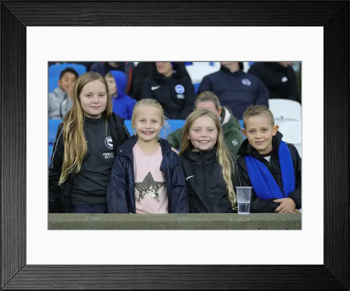 Framed Print : Brighton & Hove Albion vs. Leicester City: Premier League Showdown at American Express Community Stadium (Nov. 23, 2019) Framed Print : Brighton & Hove Albion vs. Leicester City: Premier League Showdown at American Express Community Stadium (Nov. 23, 2019)