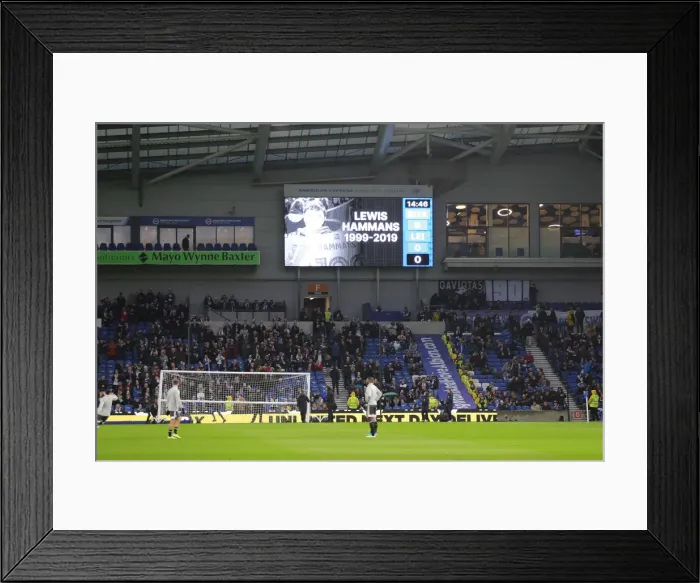 Framed Print : Brighton and Hove Albion vs Leicester City: Premier League Showdown at American Express Community Stadium (November 23, 2019)