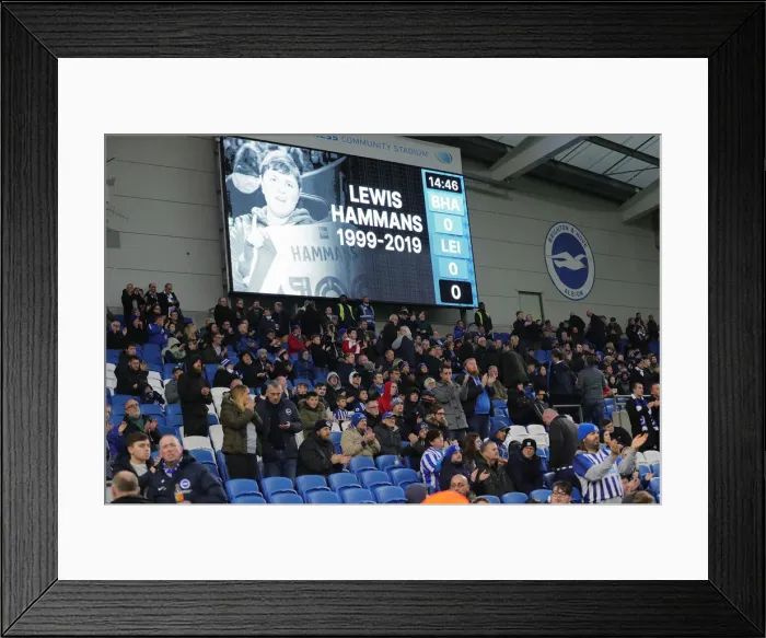 Framed Print : Brighton and Hove Albion vs. Leicester City: Premier League Showdown at American Express Community Stadium (23NOV19) Framed Print : Brighton and Hove Albion vs. Leicester City: Premier League Showdown at American Express Community Stadium (23NOV19)