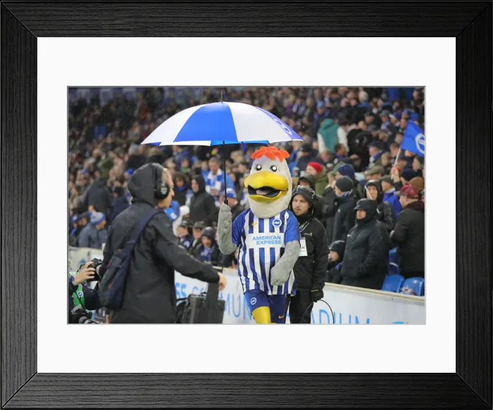 Framed Print : Brighton and Hove Albion vs. Leicester City: Premier League Showdown at American Express Community Stadium (November 2019) Framed Print : Brighton and Hove Albion vs. Leicester City: Premier League Showdown at American Express Community Stadium (November 2019)