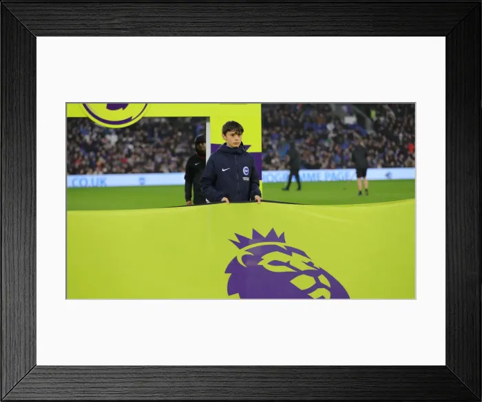 Framed Print : Brighton and Hove Albion vs. Leicester City: Premier League Showdown at American Express Community Stadium (November 23, 2019) Framed Print : Brighton and Hove Albion vs. Leicester City: Premier League Showdown at American Express Community Stadium (November 23, 2019)