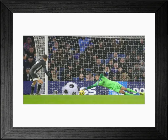 Framed Print : Brighton and Hove Albion vs. Leicester City: Premier League Showdown at American Express Community Stadium (November 23, 2019) Framed Print : Brighton and Hove Albion vs. Leicester City: Premier League Showdown at American Express Community Stadium (November 23, 2019)