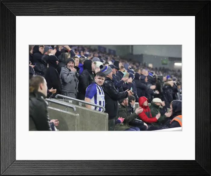 Framed Print : Brighton and Hove Albion vs. Leicester City: Premier League Battle at American Express Community Stadium (23NOV19) Framed Print : Brighton and Hove Albion vs. Leicester City: Premier League Battle at American Express Community Stadium (23NOV19)