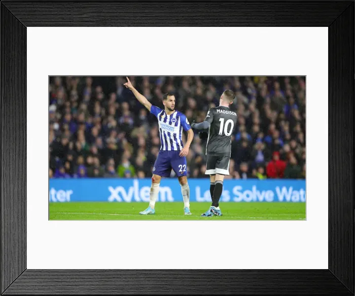 Framed Print : Brighton and Hove Albion vs. Leicester City: Premier League Showdown at American Express Community Stadium (November 23, 2019) Framed Print : Brighton and Hove Albion vs. Leicester City: Premier League Showdown at American Express Community Stadium (November 23, 2019)