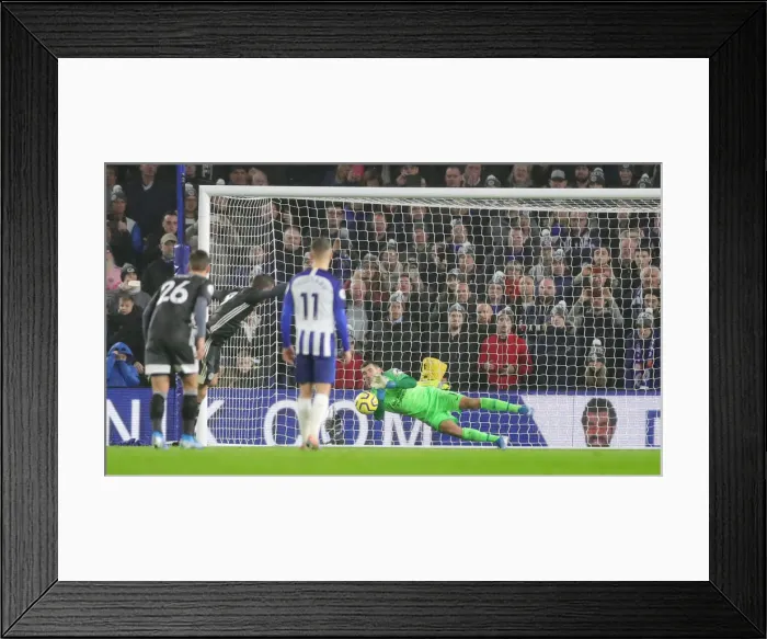 Framed Print : Brighton and Hove Albion vs. Leicester City: Premier League Battle at American Express Community Stadium (November 23, 2019)