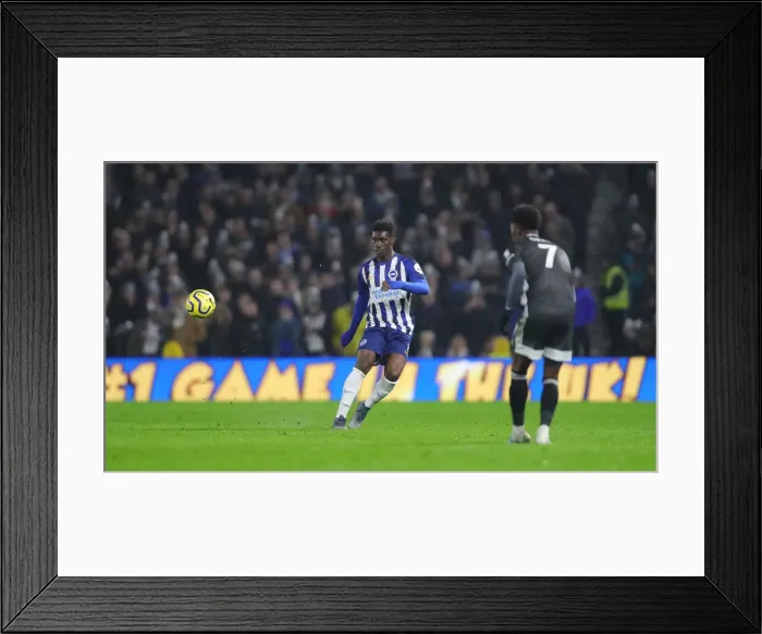 Framed Print : Brighton and Hove Albion vs. Leicester City: Premier League Showdown at American Express Community Stadium (November 2019)
