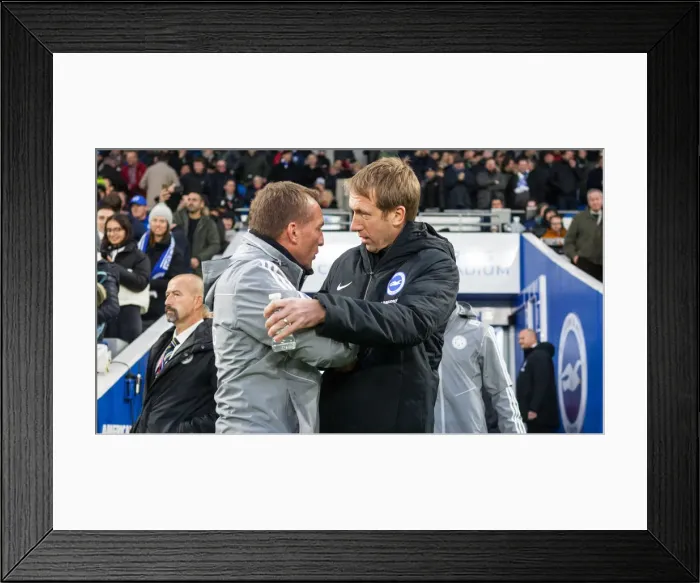 Framed Print : Brighton and Hove Albion vs Leicester City: Premier League Showdown at American Express Community Stadium (November 23, 2019) Framed Print : Brighton and Hove Albion vs Leicester City: Premier League Showdown at American Express Community Stadium (November 23, 2019)