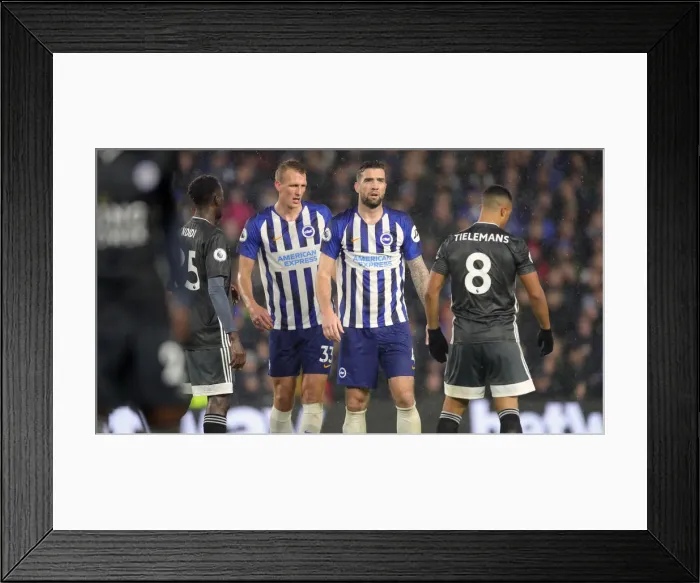 Framed Print : Brighton and Hove Albion vs. Leicester City: Premier League Showdown at American Express Community Stadium (Nov. 23, 2019) Framed Print : Brighton and Hove Albion vs. Leicester City: Premier League Showdown at American Express Community Stadium (Nov. 23, 2019)