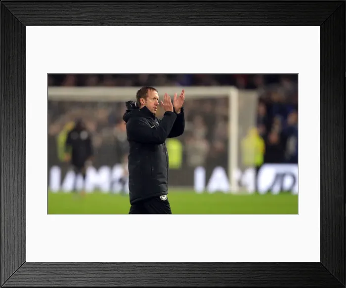 Framed Print : Brighton and Hove Albion vs. Leicester City: Premier League Clash at American Express Community Stadium (November 2019)