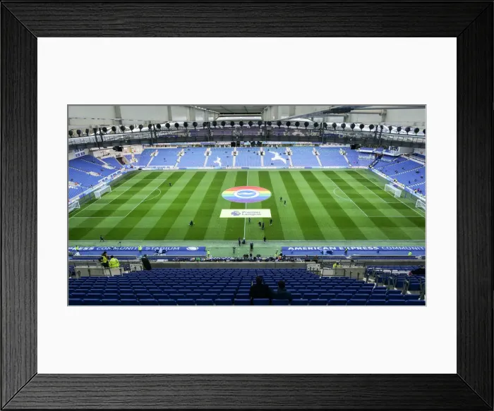 Framed Print : Brighton and Hove Albion vs. Wolverhampton Wanderers: Premier League Showdown at American Express Community Stadium (December 8, 2019)