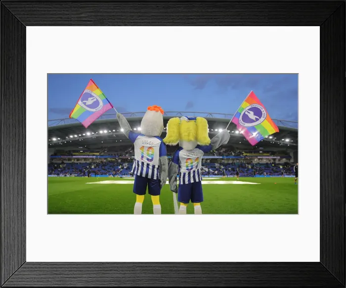 Framed Print : Brighton and Hove Albion vs. Wolverhampton Wanderers: Premier League Battle at American Express Community Stadium (08DEC19) Framed Print : Brighton and Hove Albion vs. Wolverhampton Wanderers: Premier League Battle at American Express Community Stadium (08DEC19)