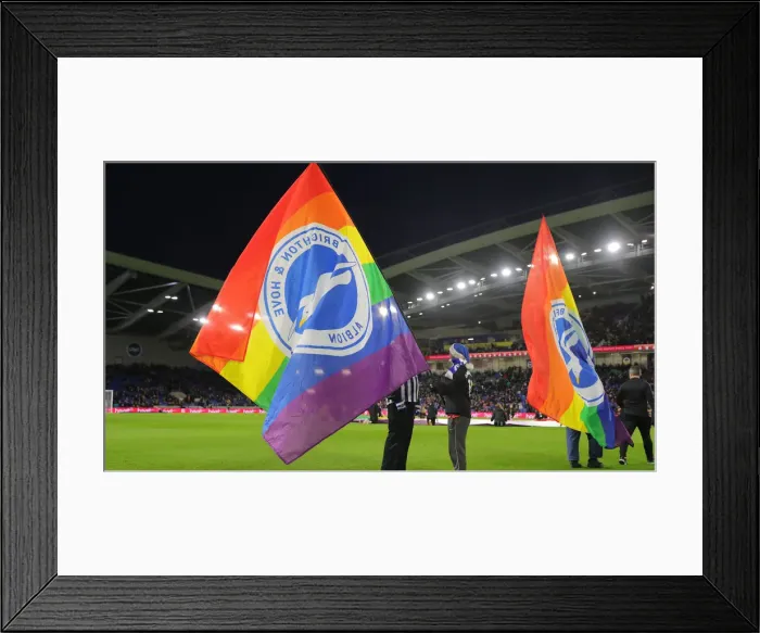 Framed Print : Brighton and Hove Albion vs. Wolverhampton Wanderers: A Premier League Showdown at American Express Community Stadium (08DEC19) Framed Print : Brighton and Hove Albion vs. Wolverhampton Wanderers: A Premier League Showdown at American Express Community Stadium (08DEC19)