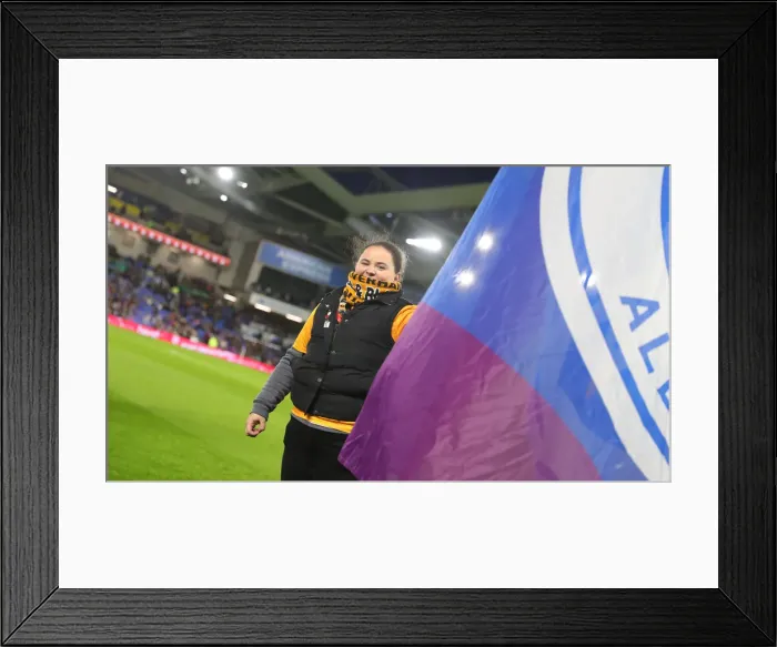 Framed Print : Brighton & Hove Albion vs. Wolverhampton Wanderers: Premier League Battle at American Express Community Stadium (08DEC19) Framed Print : Brighton & Hove Albion vs. Wolverhampton Wanderers: Premier League Battle at American Express Community Stadium (08DEC19)