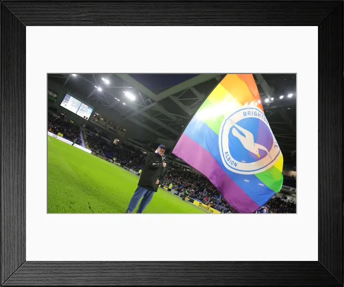 Framed Print : Brighton and Hove Albion vs. Wolverhampton Wanderers: Premier League Battle at American Express Community Stadium (08DEC19) Framed Print : Brighton and Hove Albion vs. Wolverhampton Wanderers: Premier League Battle at American Express Community Stadium (08DEC19)