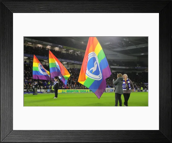 Framed Print : Brighton and Hove Albion vs. Wolverhampton Wanderers: A Premier League Clash at American Express Community Stadium (08DEC19) Framed Print : Brighton and Hove Albion vs. Wolverhampton Wanderers: A Premier League Clash at American Express Community Stadium (08DEC19)