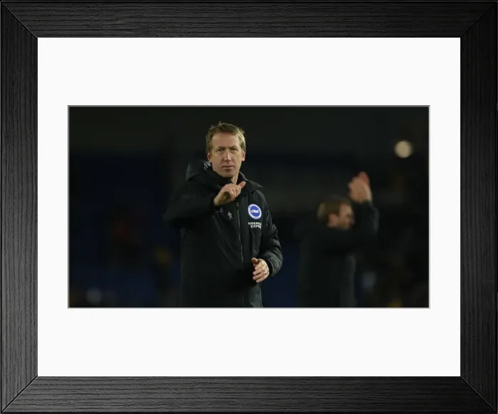 Framed Print : Brighton and Hove Albion vs. Wolverhampton Wanderers: Premier League Battle at American Express Community Stadium (08DEC19) Framed Print : Brighton and Hove Albion vs. Wolverhampton Wanderers: Premier League Battle at American Express Community Stadium (08DEC19)