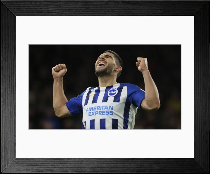 Framed Print : Brighton and Hove Albion vs. Wolverhampton Wanderers: Premier League Showdown at American Express Community Stadium (08DEC19) Framed Print : Brighton and Hove Albion vs. Wolverhampton Wanderers: Premier League Showdown at American Express Community Stadium (08DEC19)