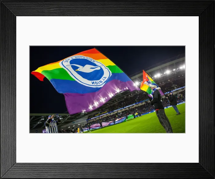 Framed Print : Brighton and Hove Albion vs. Wolverhampton Wanderers: A Premier League Showdown at American Express Community Stadium (08DEC19) Framed Print : Brighton and Hove Albion vs. Wolverhampton Wanderers: A Premier League Showdown at American Express Community Stadium (08DEC19)
