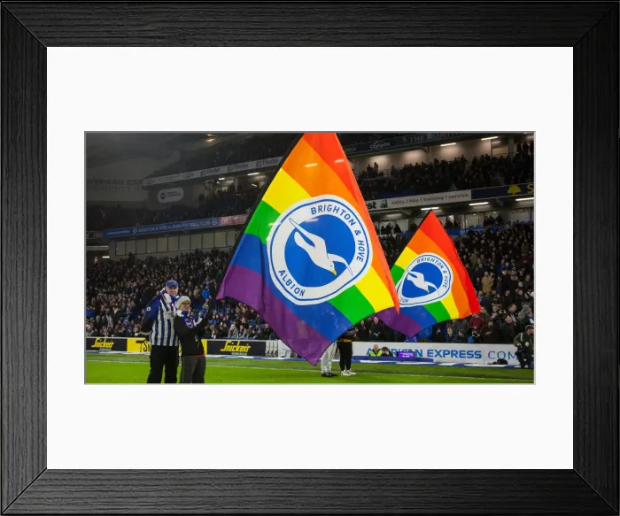 Framed Print : Brighton and Hove Albion vs. Wolverhampton Wanderers: Premier League Battle at American Express Community Stadium (December 8, 2019) Framed Print : Brighton and Hove Albion vs. Wolverhampton Wanderers: Premier League Battle at American Express Community Stadium (December 8, 2019)