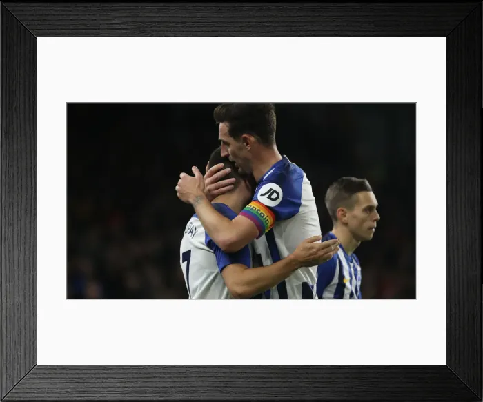 Framed Print : Brighton and Hove Albion vs. Wolverhampton Wanderers: A Premier League Clash at American Express Community Stadium (08DEC19) Framed Print : Brighton and Hove Albion vs. Wolverhampton Wanderers: A Premier League Clash at American Express Community Stadium (08DEC19)
