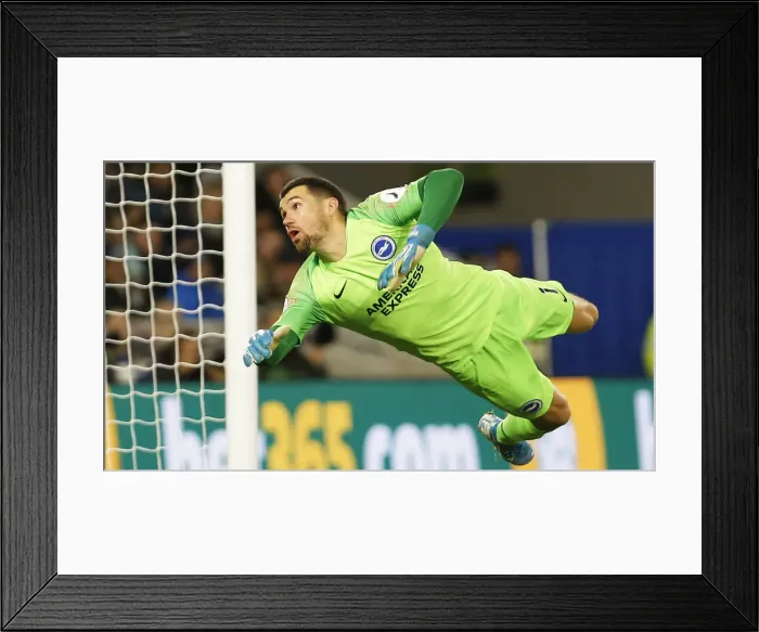 Framed Print : Brighton and Hove Albion vs. Wolverhampton Wanderers: Premier League Battle at American Express Community Stadium (08DEC19)