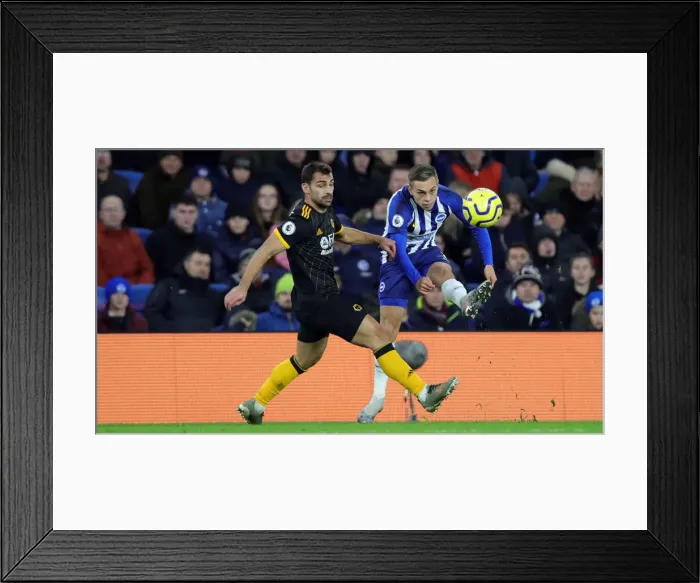 Framed Print : Brighton and Hove Albion vs. Wolverhampton Wanderers: Premier League Battle at American Express Community Stadium (08DEC19) Framed Print : Brighton and Hove Albion vs. Wolverhampton Wanderers: Premier League Battle at American Express Community Stadium (08DEC19)