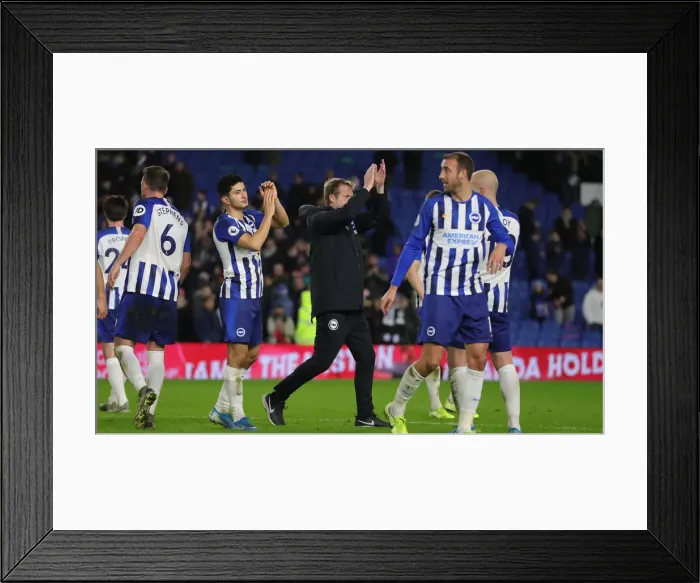 Framed Print : Brighton and Hove Albion vs. Wolverhampton Wanderers: Premier League Battle at American Express Community Stadium (08DEC19)