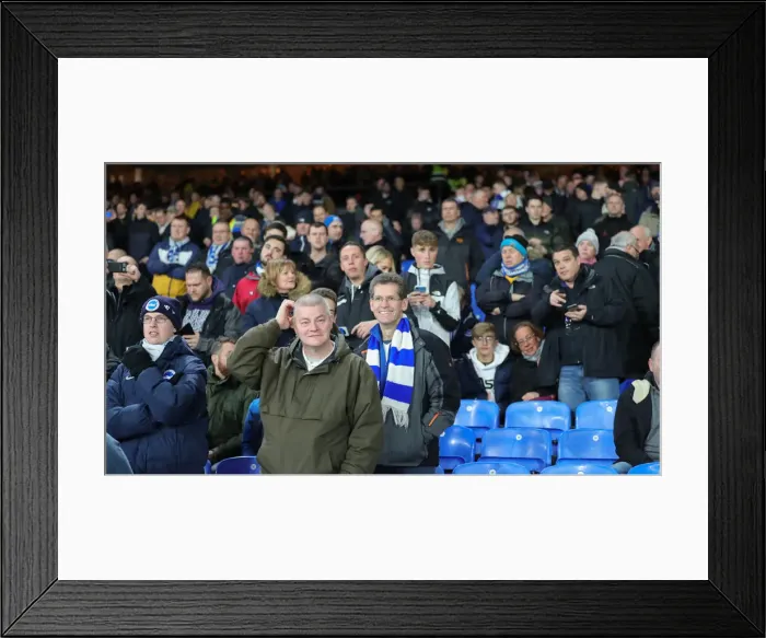 Framed Print : Decisive Moment: Crystal Palace vs. Brighton & Hove Albion, Premier League, 16th December 2019