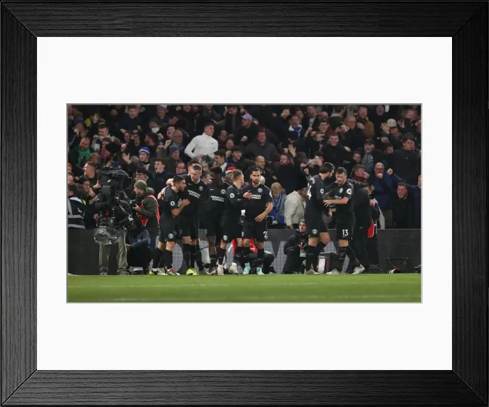 Framed Print : Decisive Moment at Selhurst Park: Brighton and Hove Albion Secure a Hard-Fought Victory over Crystal Palace, Premier League, December 2019 Framed Print : Decisive Moment at Selhurst Park: Brighton and Hove Albion Secure a Hard-Fought Victory over Crystal Palace, Premier League, December 2019