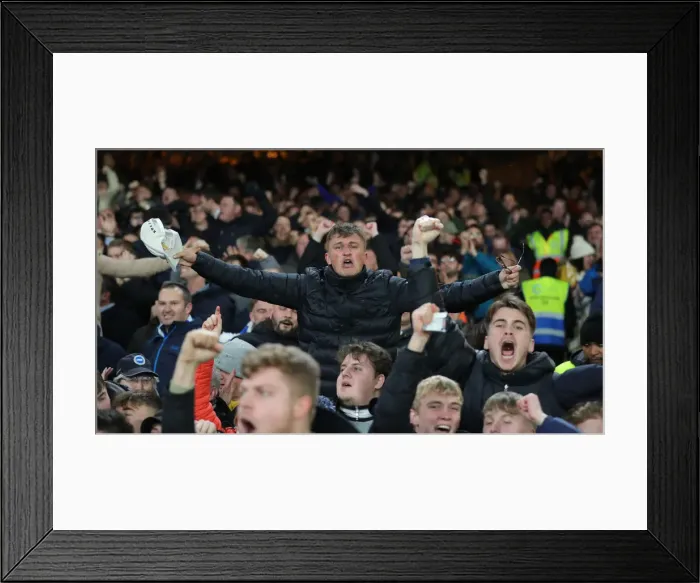 Framed Print : Decisive Moment: Crystal Palace vs. Brighton & Hove Albion at Selhurst Park (16DEC19) Framed Print : Decisive Moment: Crystal Palace vs. Brighton & Hove Albion at Selhurst Park (16DEC19)