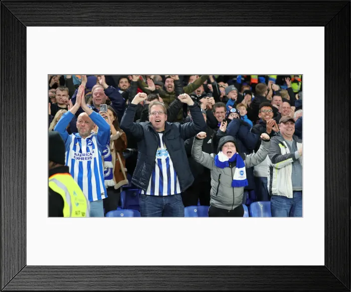 Framed Print : Decisive Moment: Crystal Palace vs. Brighton & Hove Albion at Selhurst Park (16DEC19) Framed Print : Decisive Moment: Crystal Palace vs. Brighton & Hove Albion at Selhurst Park (16DEC19)